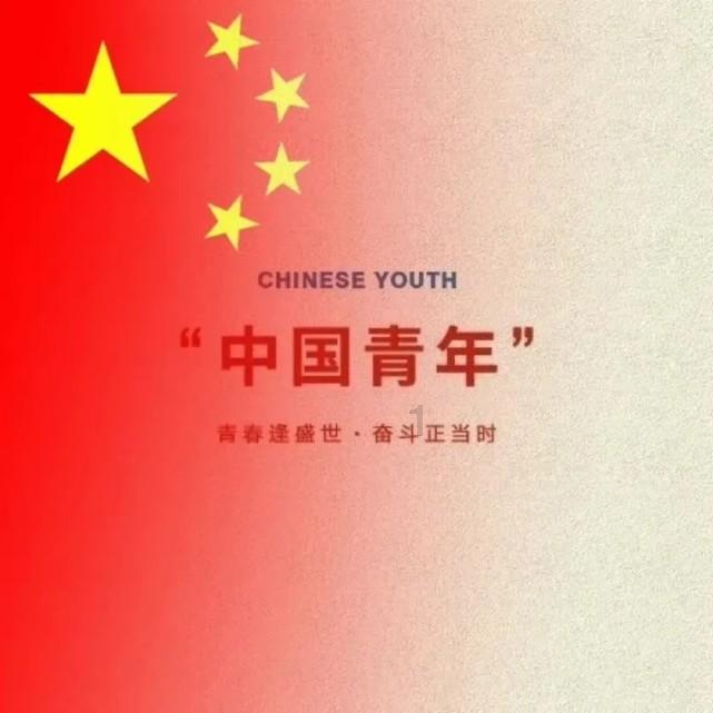 原始丛林找星星